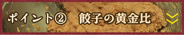 餃子の黄金比