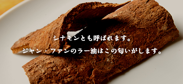 桂皮